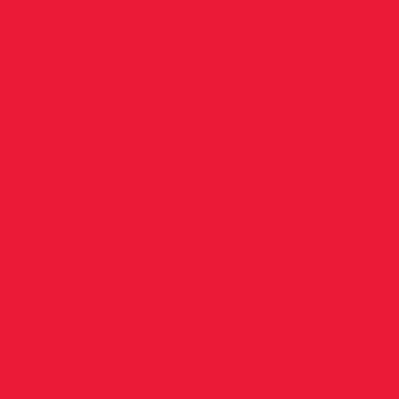 Inclusion Red Ceramic Pigment